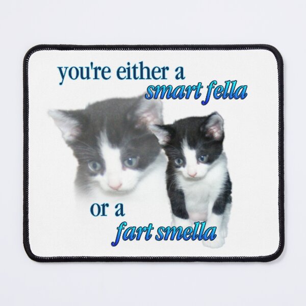Item preview, you're either a smart fella or a fart smella designed and sold by snazzyseagull.