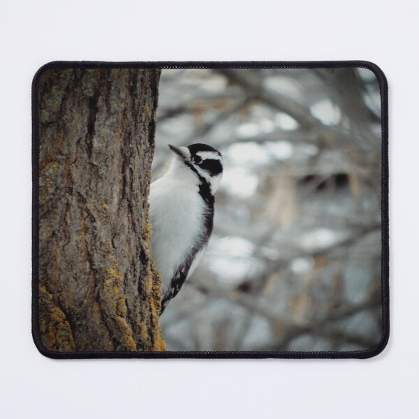 Item preview, Woodpecker designed and sold by juniperfox666.