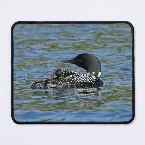 Item preview, Mother and baby loon designed and sold by Inlovewithloons.