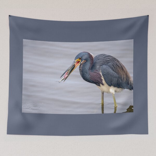 Item preview, Great Timing For The Tricolored Heron designed and sold by Debra Martz.
