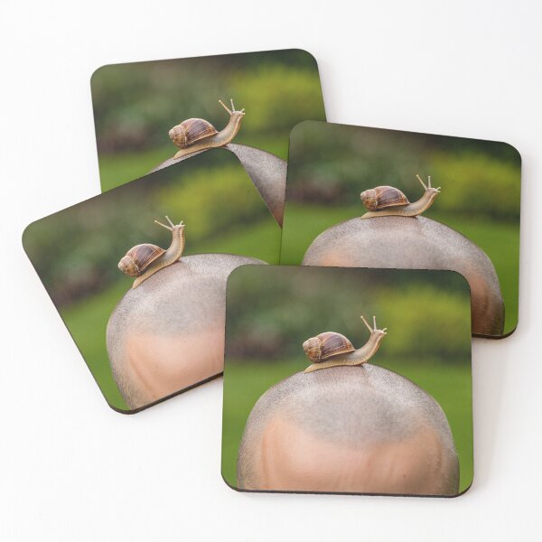 Item preview, a Snail on a Bald man's head designed and sold by Vintage Designs +.