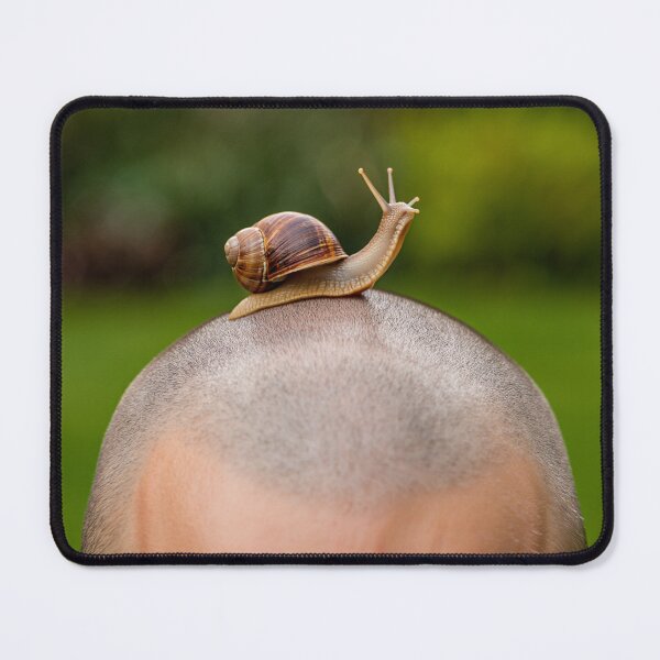 Item preview, a Snail on a Bald man's head designed and sold by Vintage Designs +.