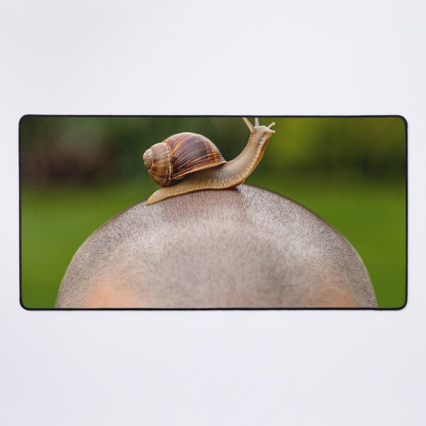 Item preview, a Snail on a Bald man's head designed and sold by Vintage Designs +.