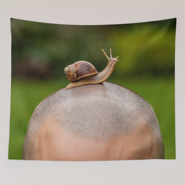Item preview, a Snail on a Bald man's head designed and sold by Vintage Designs +.