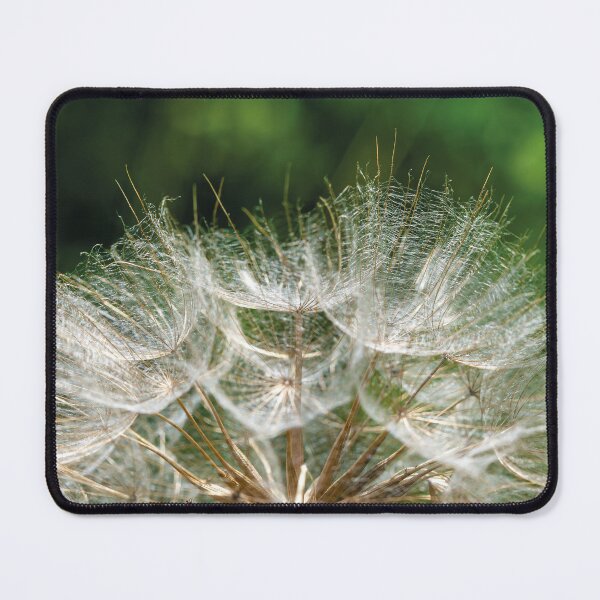 Item preview, Delicate Dandelion Dream – Nature's Lacework designed and sold by 3 Hours of Silence.