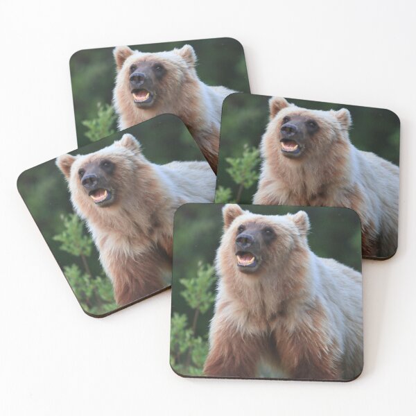 Item preview, Young grizzly bear designed and sold by zumi.