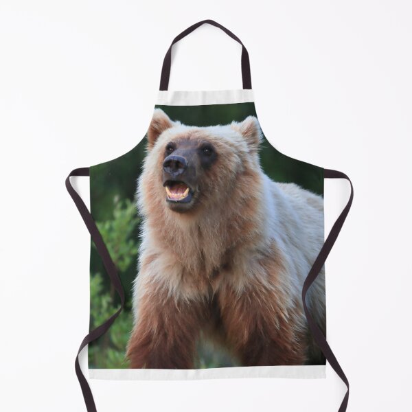 Item preview, Young grizzly bear designed and sold by zumi.