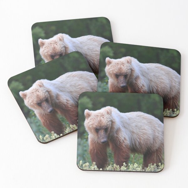 Item preview, Young grizzly bear II designed and sold by zumi.