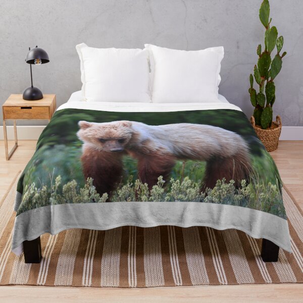 Item preview, Young grizzly bear II designed and sold by zumi.