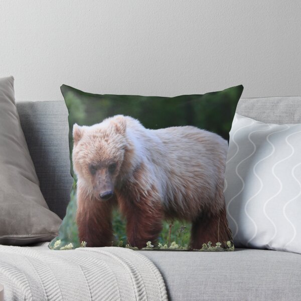 Item preview, Young grizzly bear II designed and sold by zumi.