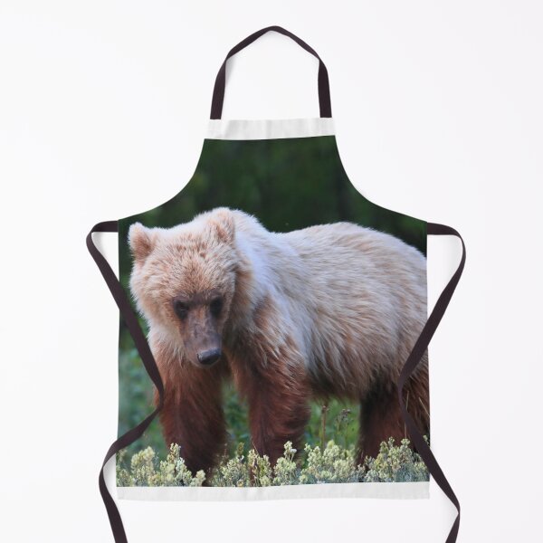 Item preview, Young grizzly bear II designed and sold by zumi.