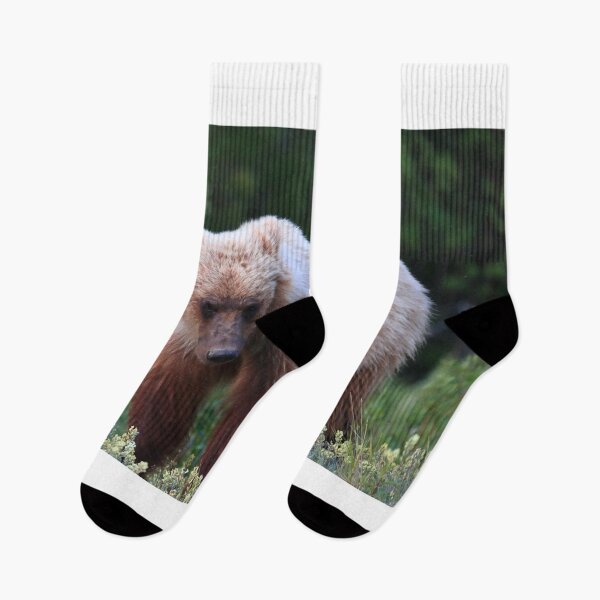 Item preview, Young grizzly bear II designed and sold by zumi.