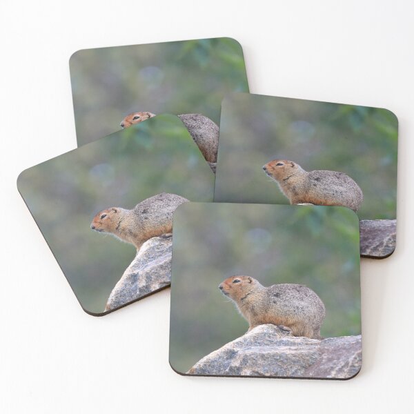 Item preview, Ground squirrel on lookout designed and sold by zumi.
