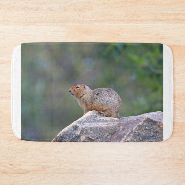 Item preview, Ground squirrel on lookout designed and sold by zumi.