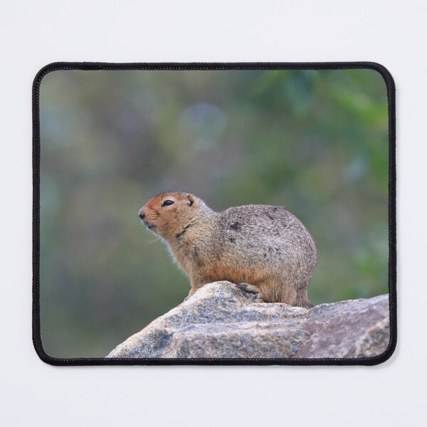 Item preview, Ground squirrel on lookout designed and sold by zumi.