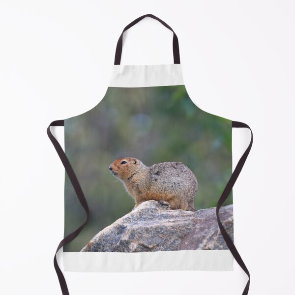 Item preview, Ground squirrel on lookout designed and sold by zumi.