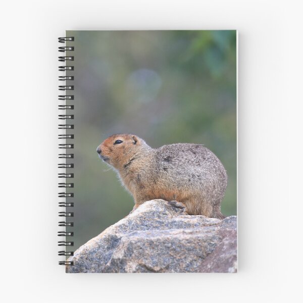 Item preview, Ground squirrel on lookout designed and sold by zumi.