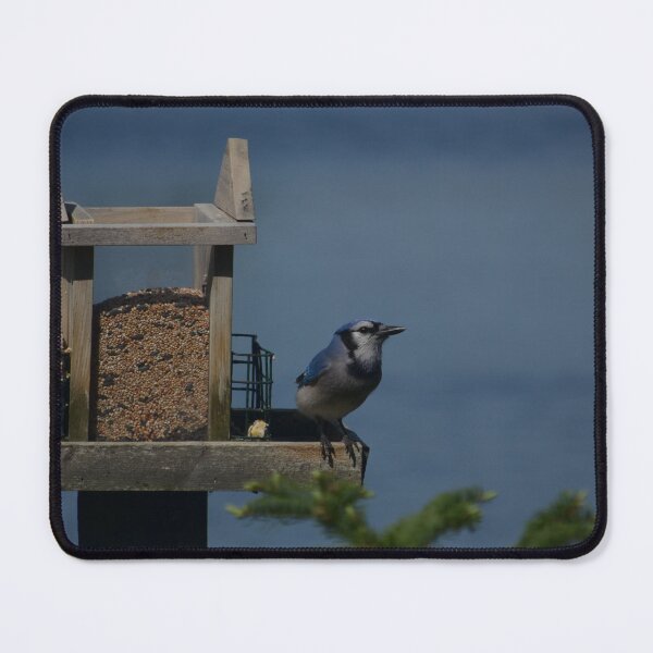 Artikelvorschau, Blue Jay entworfen und verkauft von kry.ative.
