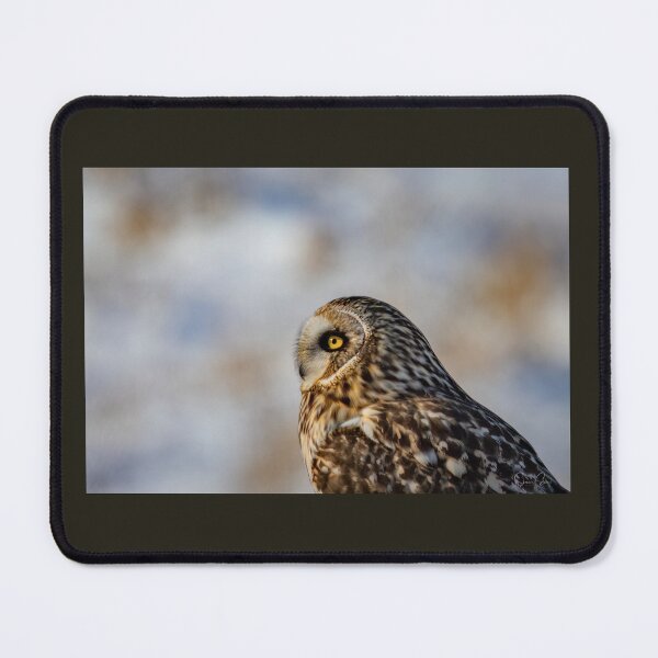 Item preview, Short-eared owl designed and sold by Shannon Emmel .