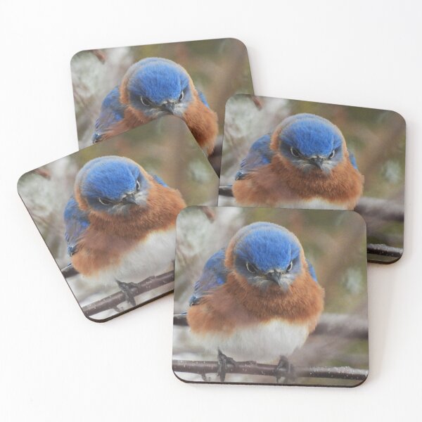 Item preview, Angry Eastern Bluebird designed and sold by WonderingNature.