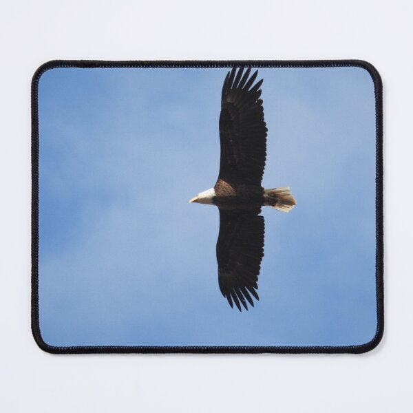 Item preview, Fly Eagle Fly designed and sold by WonderingNature.