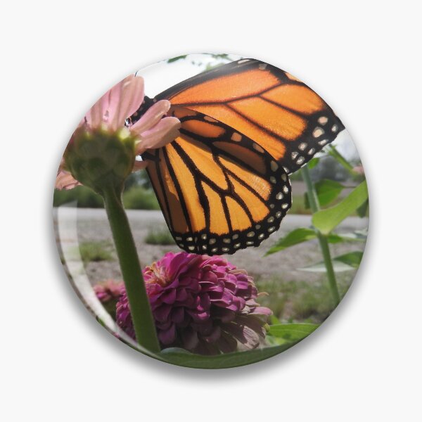 Item preview, beautiful butterfly wings designed and sold by Stephanie  Skeem.