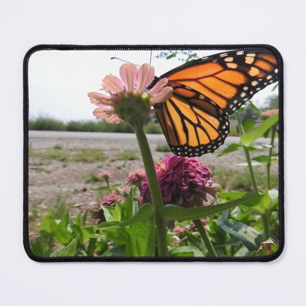 Item preview, beautiful butterfly wings designed and sold by Stephanie Skeem.