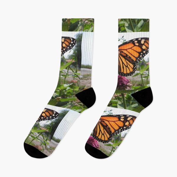 Item preview, beautiful butterfly wings designed and sold by Stephanie  Skeem.