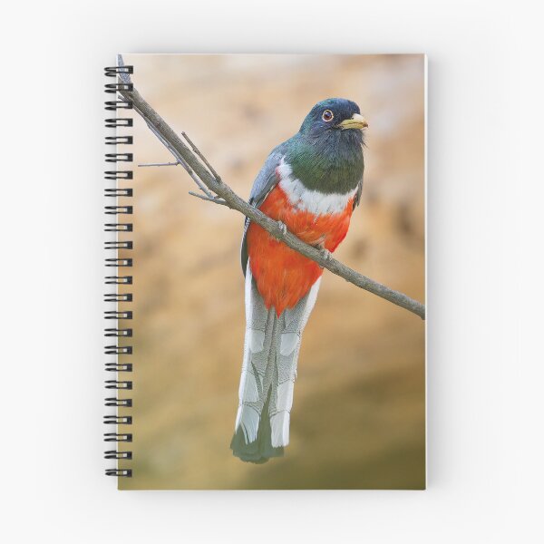 Item preview, Elegant Trogon Cave Creek Canyon Arizona designed and sold by Clarkwurks Photography.