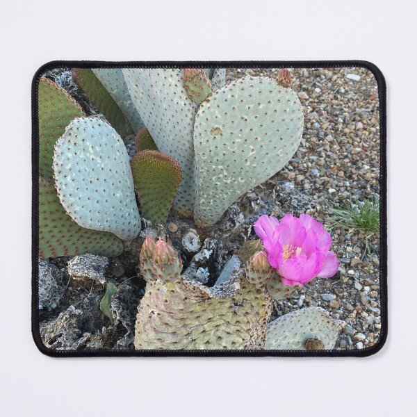 Item preview, Pinky Cactus designed and sold by pinkyjainpan.
