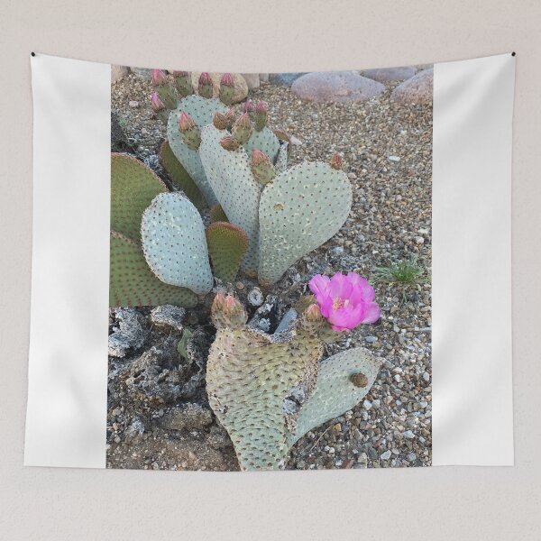 Item preview, Pinky Cactus designed and sold by pinkyjainpan.