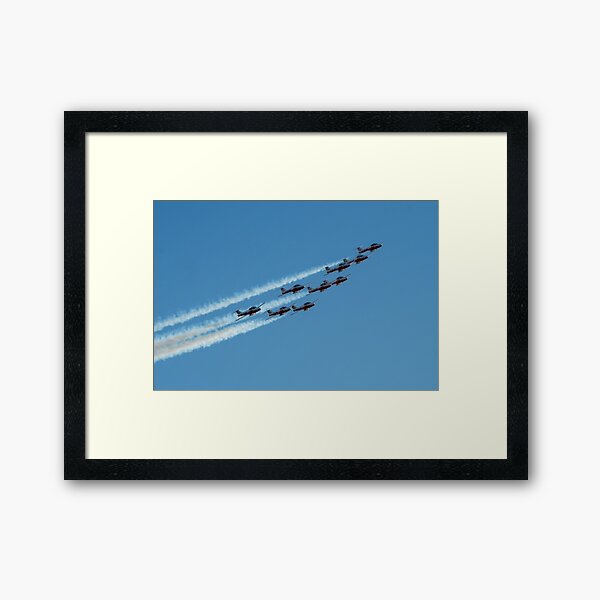 Aperçu de l'œuvre Les snowbirds canadiens créée et vendue par mparnisari.