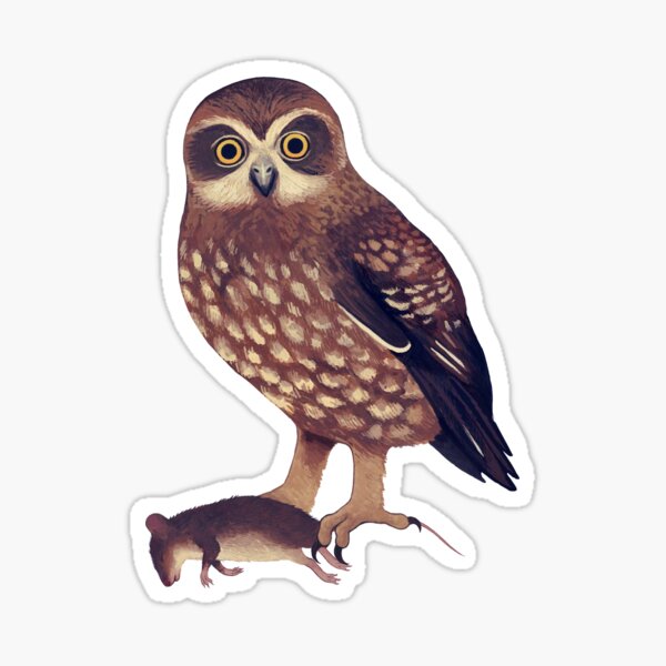 Item preview, Southern Boobook owl designed and sold by penfeather.
