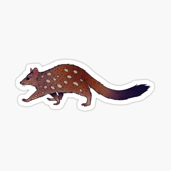 Item preview, Western Quoll designed and sold by penfeather.