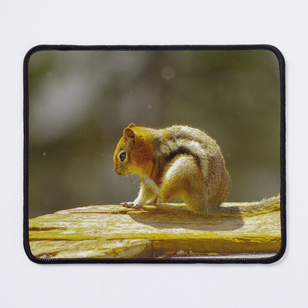 Item preview, chipmunk designed and sold by mparnisari.