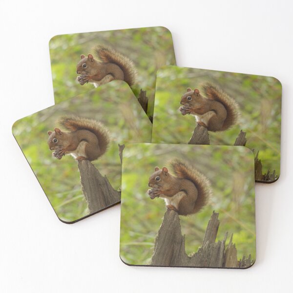 Item preview, squirrel designed and sold by mparnisari.