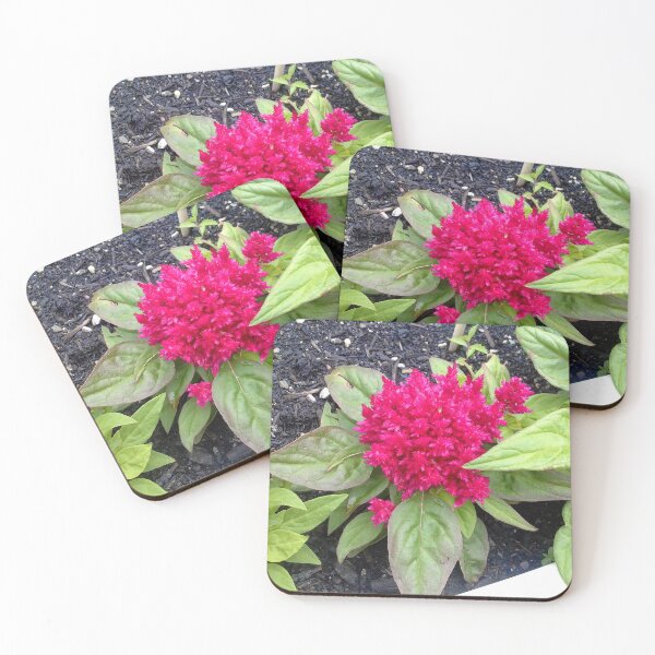 Item preview, Pink Flower designed and sold by 20Sierra24.