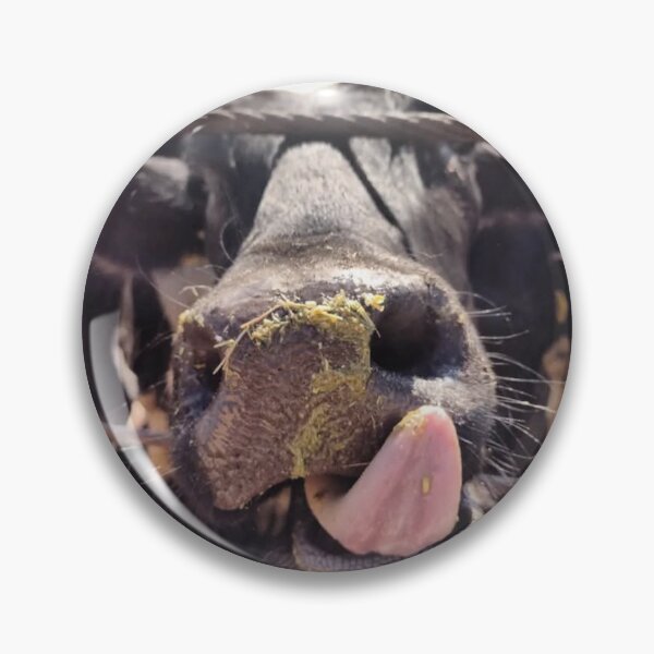 Item preview, cattle photography designed and sold by pksart1.