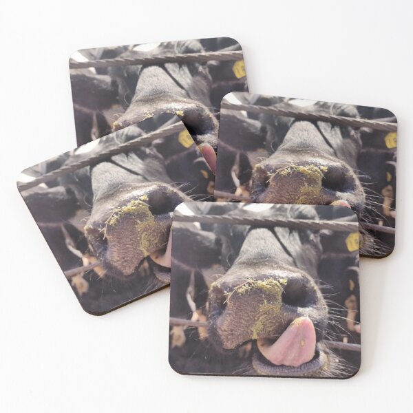 Item preview, cattle photography designed and sold by pksart1.