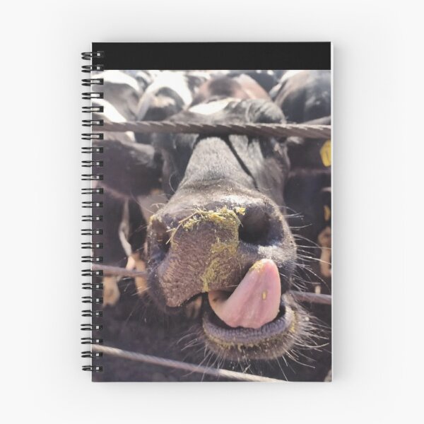 Item preview, cattle photography designed and sold by pksart1.