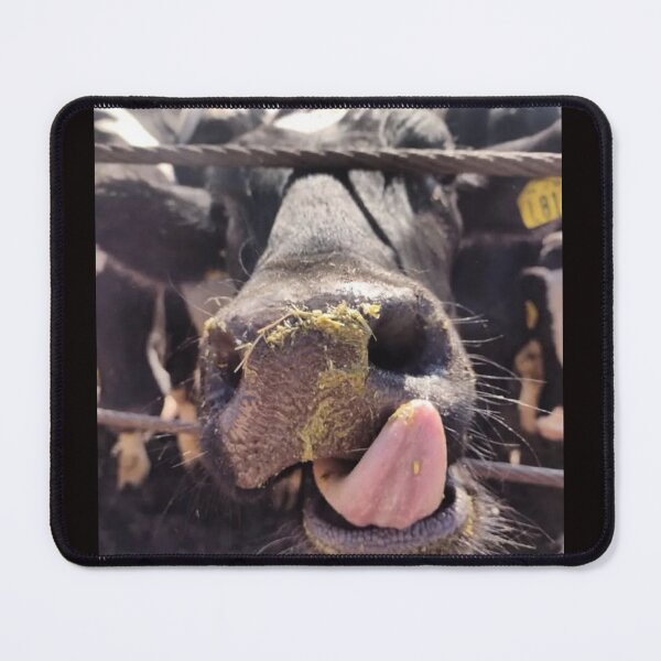 Item preview, cattle photography designed and sold by pksart1.