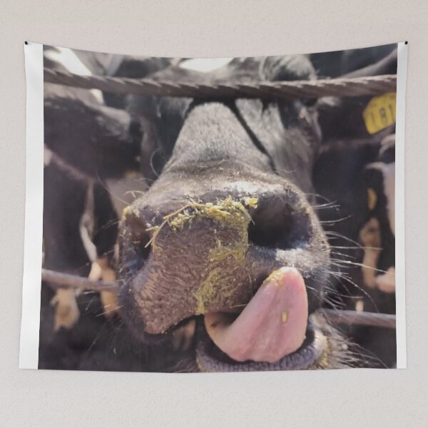 Item preview, cattle photography designed and sold by pksart1.