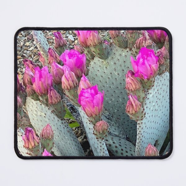 Item preview, Cactus With Pink Flowers designed and sold by pinkyjainpan.