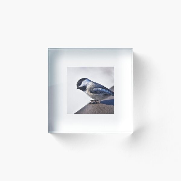 Item preview, Bird on ledge designed and sold by NaVisuals.