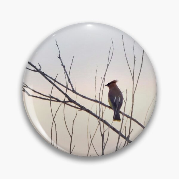 Artikelvorschau, Vogel auf Ast entworfen und verkauft von NaVisuals.