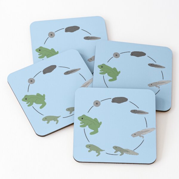 Item preview, Frog life cycle  designed and sold by Bugbotherer30.