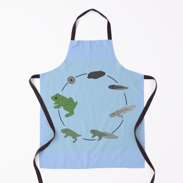 Item preview, Frog life cycle designed and sold by Bugbotherer30.