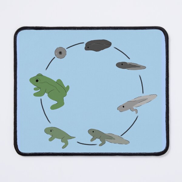 Item preview, Frog life cycle designed and sold by Bugbotherer30.