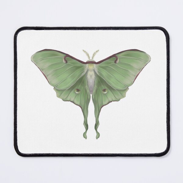 Item preview, Luna Moth designed and sold by Modsecai.