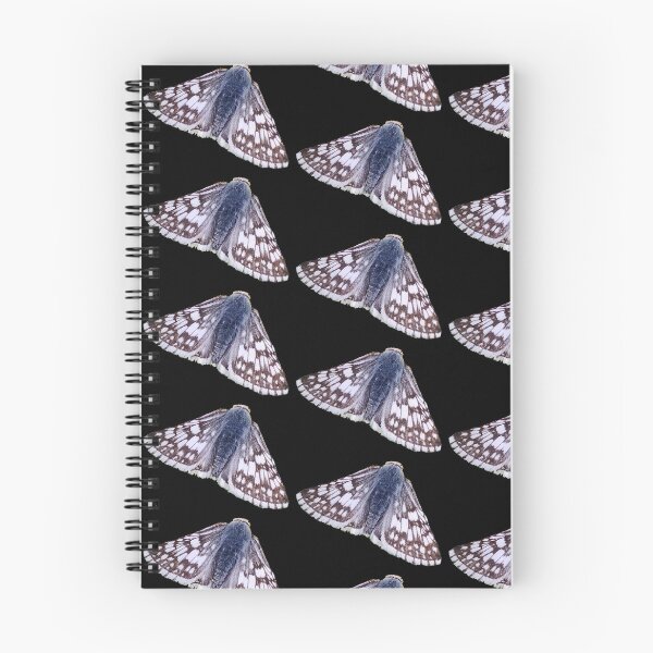 Item preview, Moth designed and sold by ThePlantGoblin.